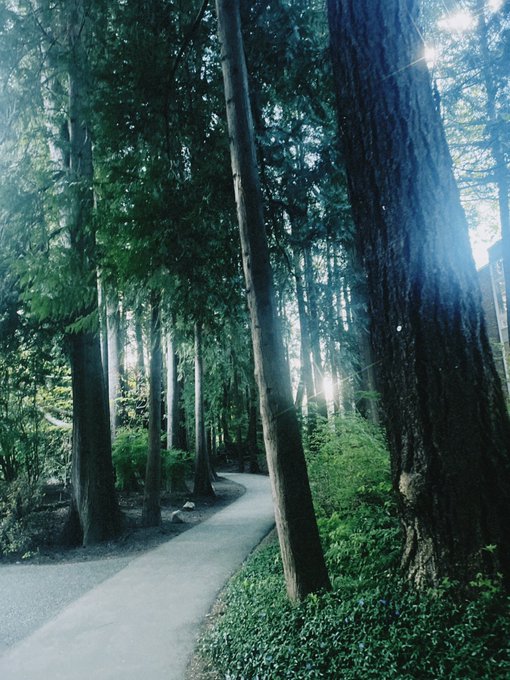 &ldquo;Busy&rdquo; enjoying the PNW 🤍 https://t.co/MDn8lAiAM7