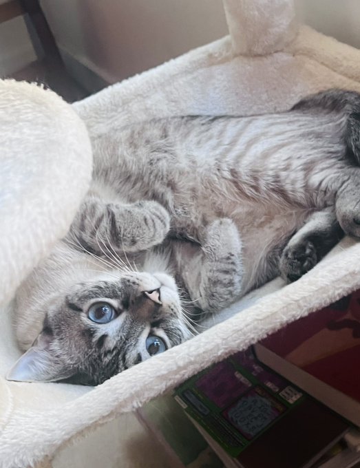 &ldquo;Busy&rdquo; enjoying the PNW 🤍 https://t.co/MDn8lAiAM7