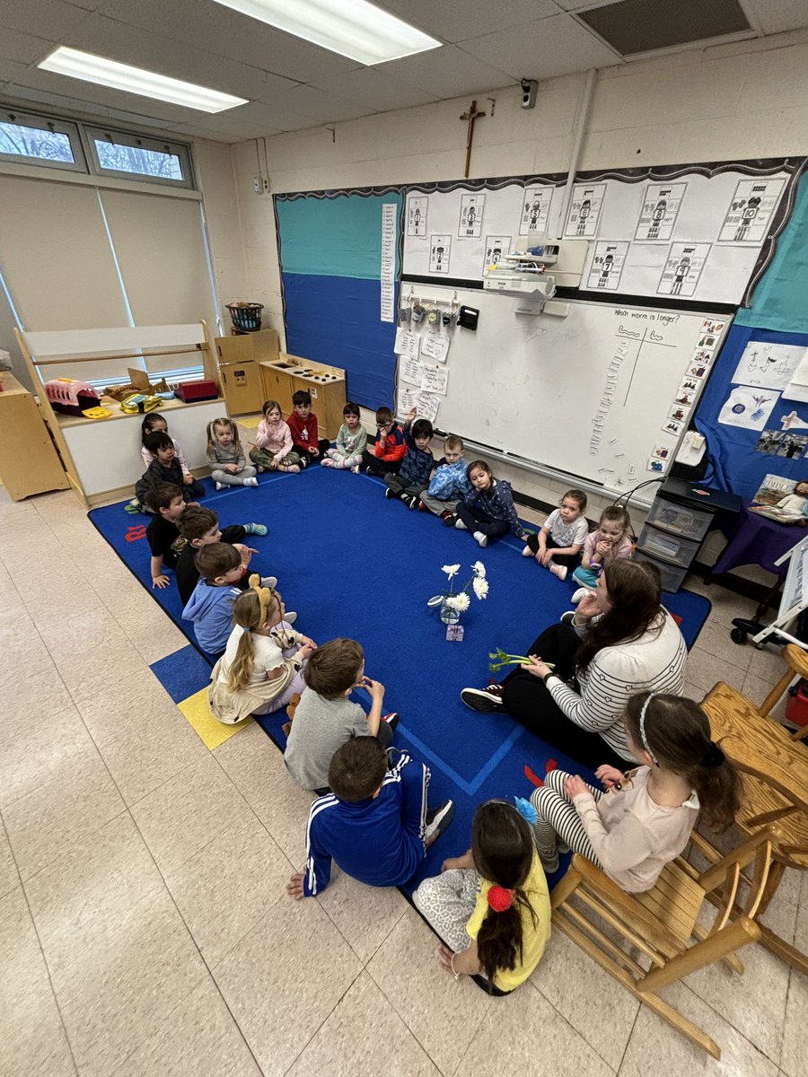 Flowers Inquiry 🌸🌺🌷🌻