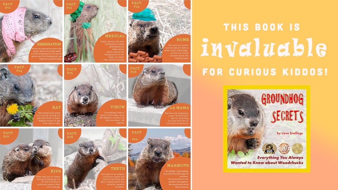 Seeking a joyful way for your kids to learn about groundhogs?  This photo-illustrated book is invaluable for curious kiddos. 
mybook.to/vPHAp

#kidsbook #LearninIsFun #ChildrensBook #awardwinning #animalbook #groundhog