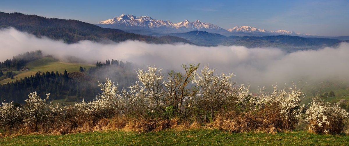 Los Tatras siwmpre son agradables de mirar...
Mañana en High Peak, Little Dewdrops...
Eslovaquia.
youtube.com/watch?v=qgO7Bq…