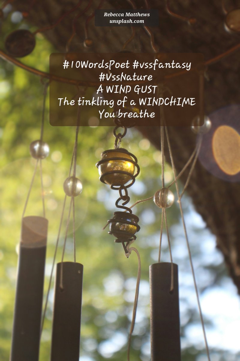 #10WordsPoet #vssfantasy     #VssNature 
A WIND GUST
The tinkling of a WINDCHIME
You breathe
Rebecca Matthews unsplash.com