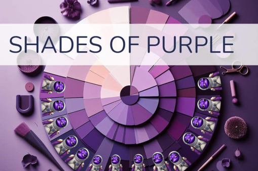 WoodHaruki's tweet photo. Shades of Purple ๐
@monad_xyz @JohnWRichKid
@IndiaNad_xyz @aedan075
@Evoyudhasamael @Pdbullbear
#monad #monadforever https://t.co/4fJmL6E4qy