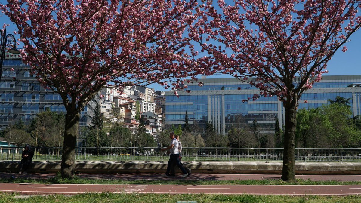 Günaydın Kağıthanemiz♥️ Sevdiklerinizle birlikte güzel bir pazar günü olsun.🌸🍃