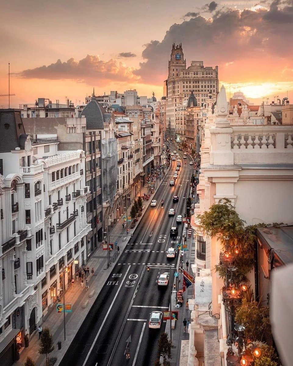 #BuenosDías🌹#FelizDomingo Madrid, España (Foto©️unlimitedmadrid)