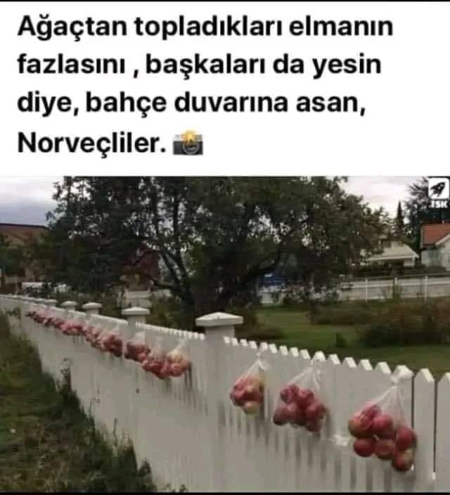 Günaydınn🙏