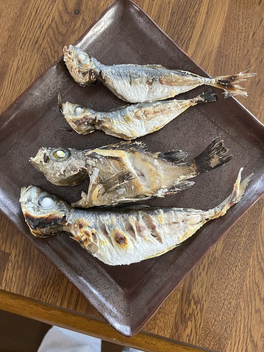 kaijixxx's tweet photo. 美味しくいただきました。
ありがとうございます。 https://t.co/qTTmXwKPwd
