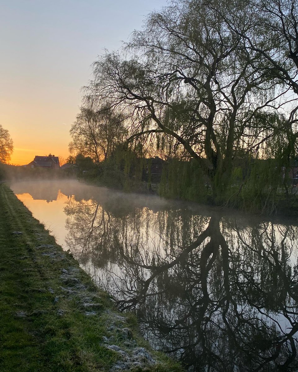 Another coolish morning, beautiful but with a touch of frost on the ground. No female ducks out at the moment, I’m guessing they’re on nest duty for the time being! Looking forward to seeing their babies soon! #dailywalk #timeinnature #wellbeing #canal #earlymorning #sunrise