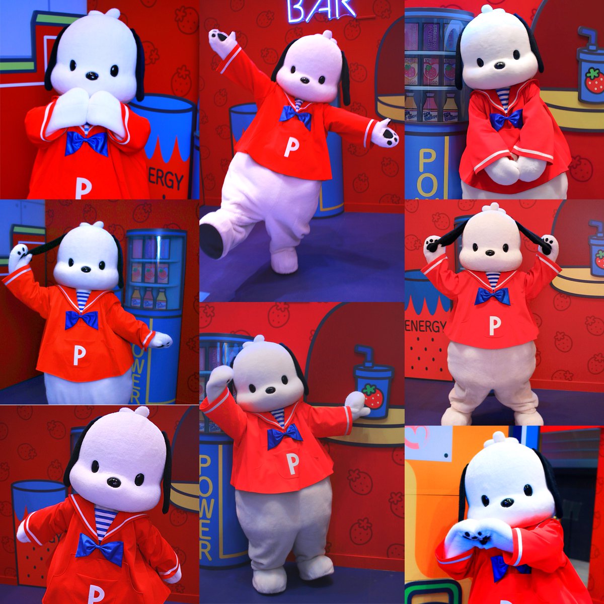 Sho__22529's tweet photo. 【固定ツイート用】

お友達なりませんか？

ポチャッコくん最推し🫶キティちゃんとウィッシュミーメルも推し
94line 🚹
グリ大好き、カメラガチ勢さん📷

いいね♡またはRTで気になった方お迎えに参ります😌
よろしくお願いします^ ^

#サンリオ好きさんと繋がりたい 
#ピューロ好きさんと繋がりたい https://t.co/qVirCUrVyE