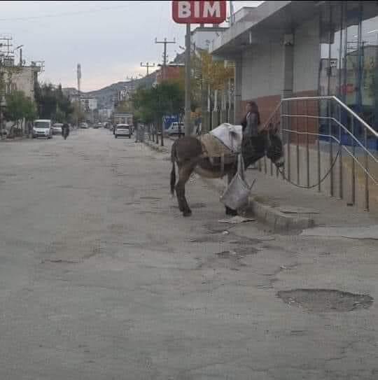 Alışverişdeyim yazmayın!..🤪

#MutluPazarlar 🥰