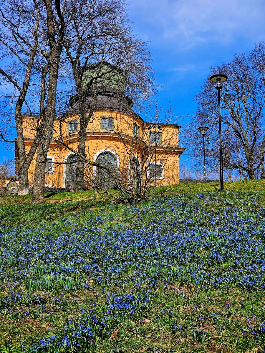 #SundayYellow and heavenly blue