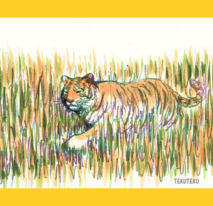「no humans tiger」 illustration images(Latest)
