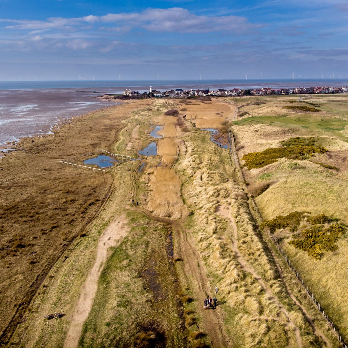 On the edge of the Dee Estuary, Red Rocks Nature Reserve is an excellent coastal spot for birdwatching , with sand dunes, reedbeds and marsh attracting regular spring migrants like reed buntings, sand martins and wheatears. 💚🐦 #SpringMigration @ourdeeestuary