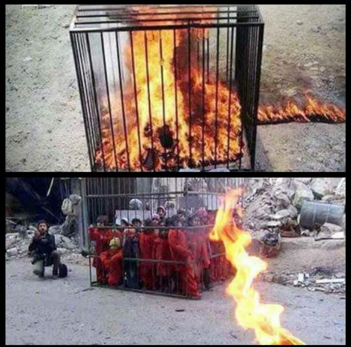 *चिंता मत कीजिए* *पिंजरे में बंद आपके बच्चे नहीं हैं* *ये तो यजीदीयों के वो प्यारे बच्चे हैं* *जिनको ISIS ने* *उनकी आँखों के सामने जिंदा जला दीया*