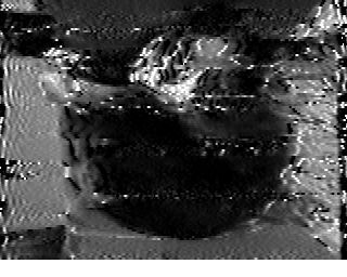 SportyPorcupine's tweet photo. Successfully decoded images from the 0100z #MightyKBC broadcast, featuring @SWRadiogram type text and data from @WD4AH_Al and SSTV from Peter Jones' DX Headlines segment. From Alabama. https://t.co/qz8yZIXWqv