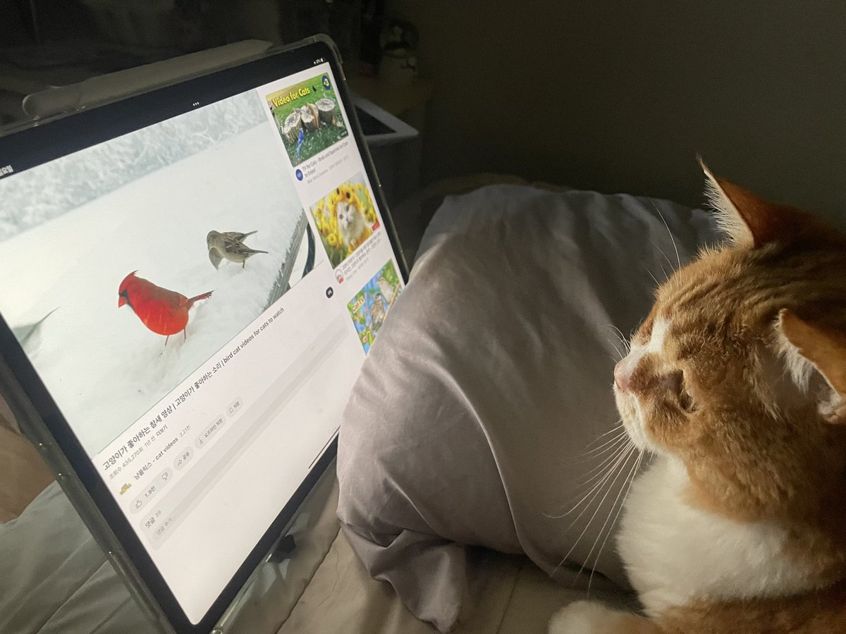 사랑해 뽀뽀또또 tweet media