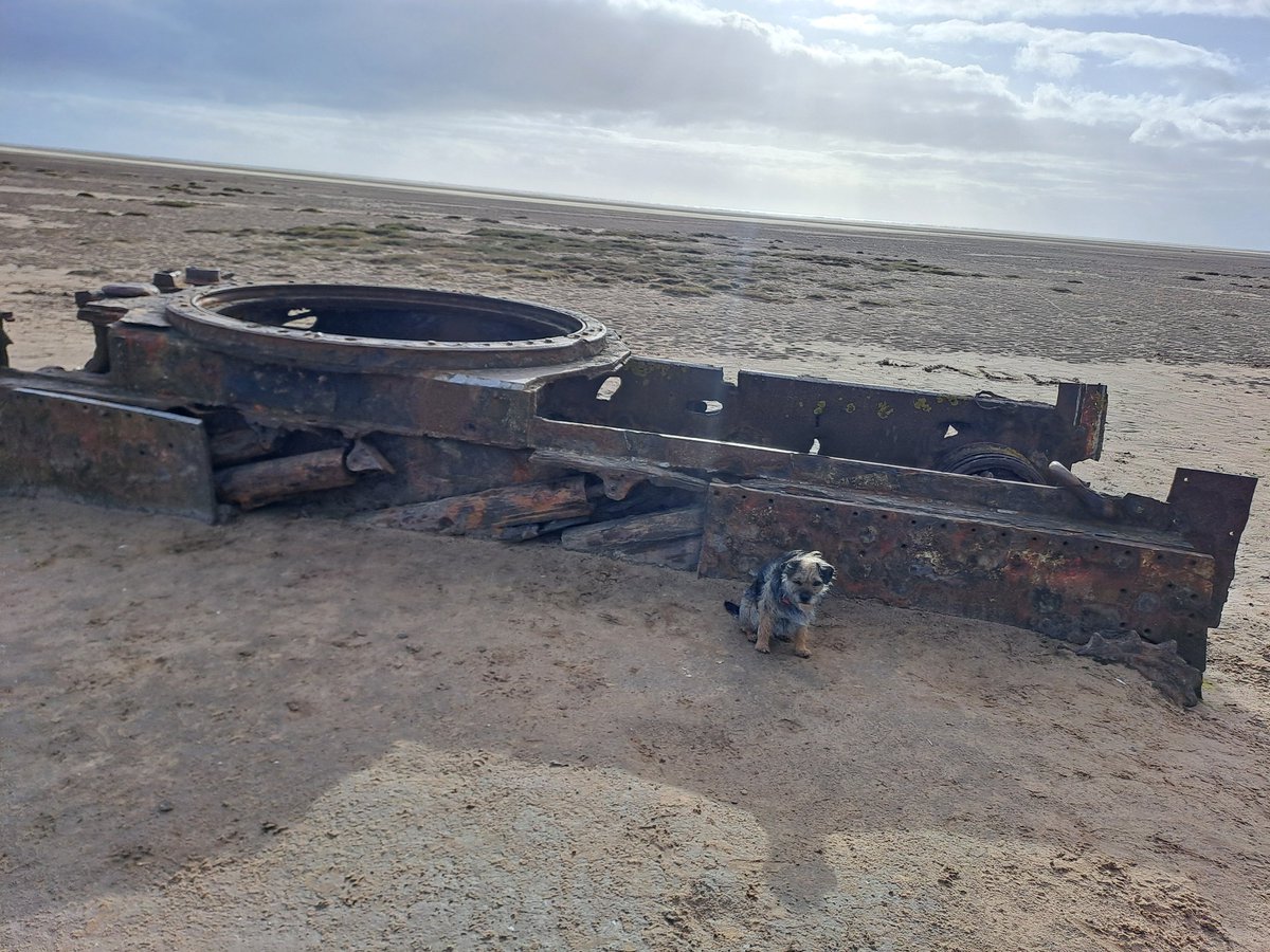 Not overly sure who decided breakfast on the beach at 7am was a grand idea 🤔 🥶🥶🥶 certainly 'fresh' obligatory #tank photo. #Lincolnshire #coast more than a TAD bracing!