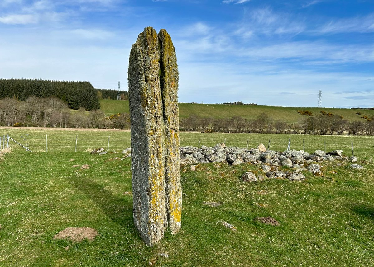 A lone standing stone at Milton of Clava - a Bronze Age cemetery close to the more famous Clava Cairns in the Scottish Highlands. The stone may have been part of a larger stone circle.  #StandingStoneSunday #Prehistory #ScottishHighlands 📸 My own.