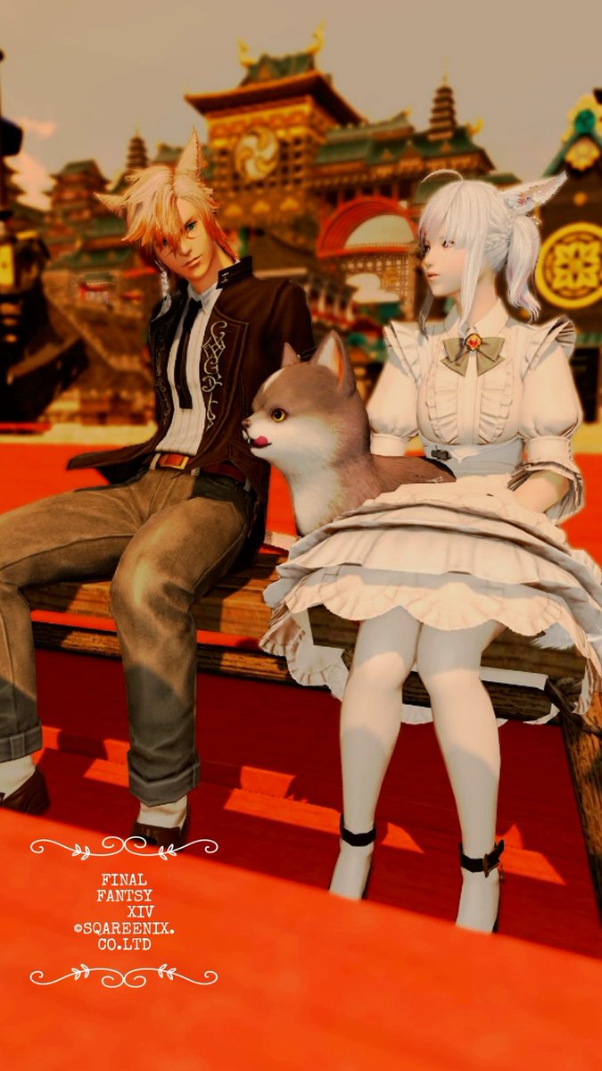 kura888chako's tweet photo. ターキスが来るのを待っていた🐈‍⬛と🐶です🩷
頭ナデナデして欲しい https://t.co/S5pXBJLemg