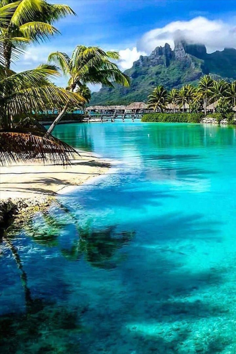 GOOD MORNING WORLD - Bora Bora - 🦋Welcome to a relaxing Sunday. Our politicians are trying, very! The world is in a mess, every hopeful of solutions, just be happy everyone and enjoy your day.🦋 “There is no such thing as failure. There are only results.” Anthony Robbins.