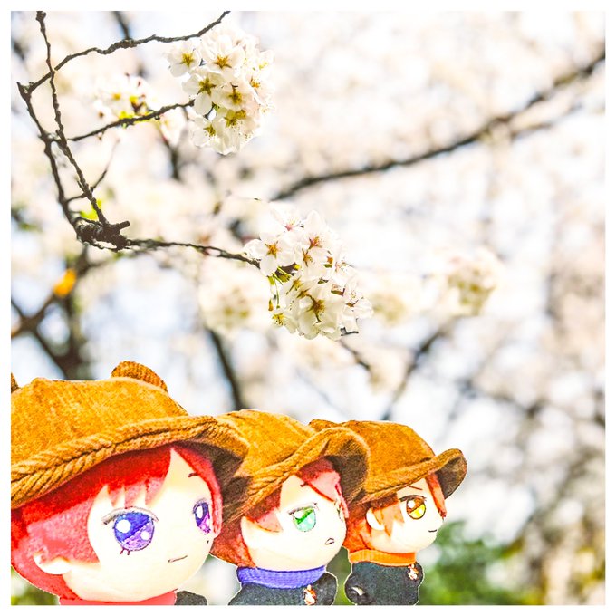 「桜 ショートヘア」のTwitter画像/イラスト(新着)｜5ページ目