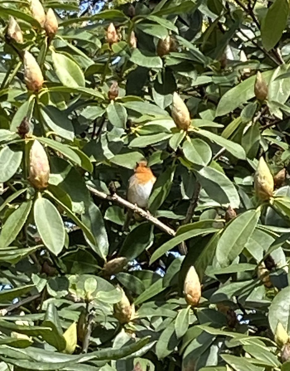 Better Action For Families tweet media