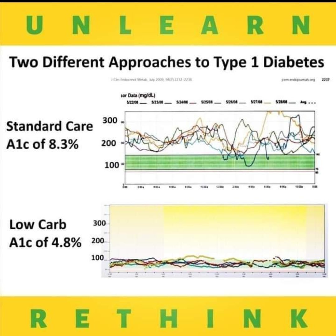 Type 1 diabetes and low carb