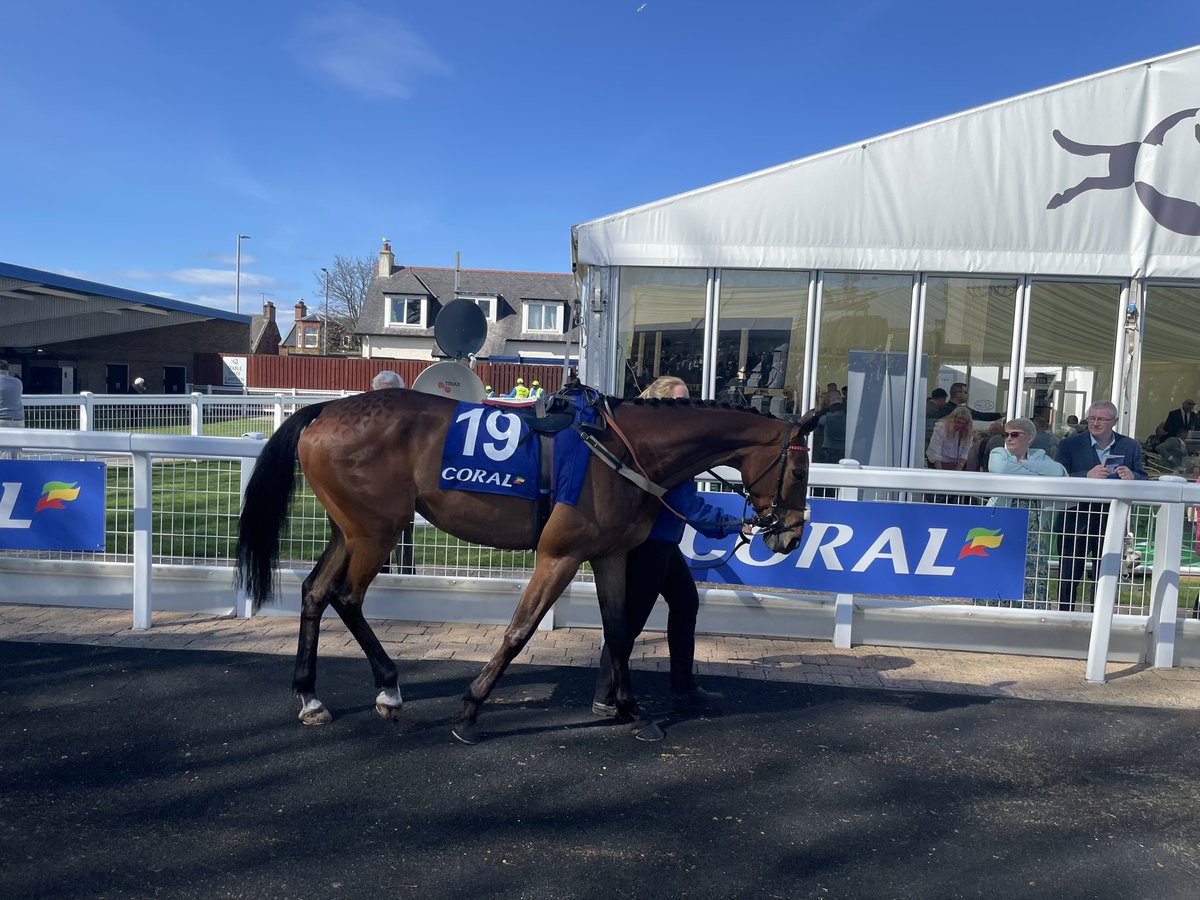 iddypryce's tweet image. Wow. What a day. This legend of a horse has taken us to Ascot, Cheltenham and Ayr this season. Delighted to take @jamiesnowden over his record prize money tally too.