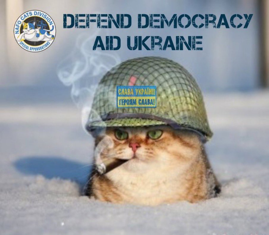 @wilendhornets @NAFOArmories @Wendehopes @FreeUkraine91 @ArmedMaidan #SupportUkraine