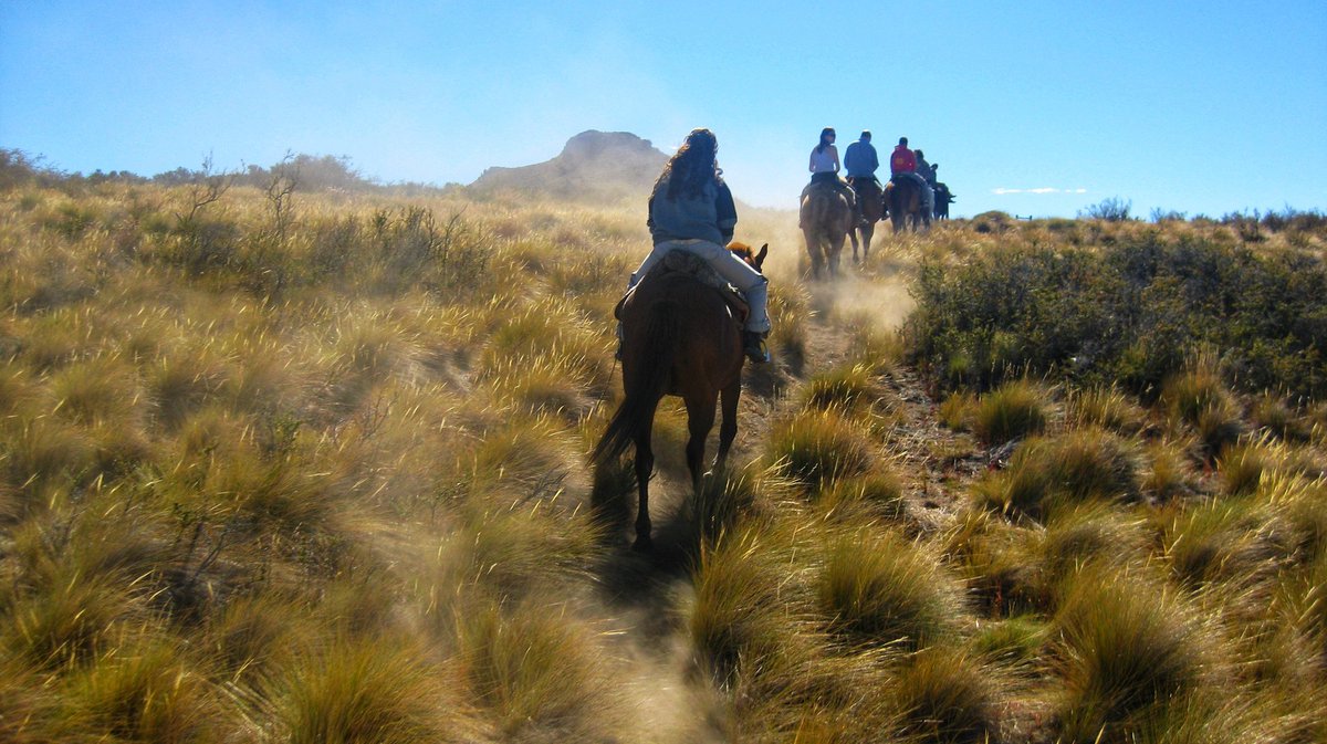 Bariloche Argentina feels very much like the Austrian Alps. Head there if you enjoy a cycle, horse ride or some tasty sweet chocolate #photography #travel #nature #photography #naturephotography #roadtrip #bariloche #argentina