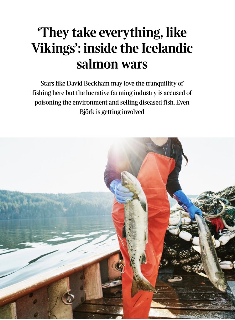 In the Sunday Times today: The problem with salmon farming in Iceland archive.ph/37YsQ