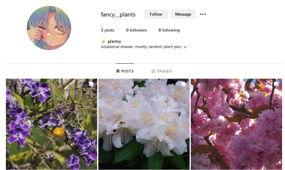 fancy_plantsy's tweet photo. found a new place to dump all my random plant photos :^)

https://t.co/K2YJHf4WV3 https://t.co/2YXVui2SOT