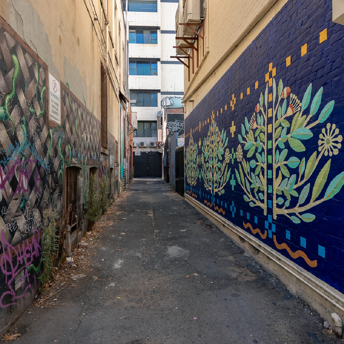 A new mural has emerged in the City’s east end. 🎨 Located in a Pier Street Laneway at the back of Hay Street, the mural by local artist Joanna Brown celebrates the cooling effect of trees. The mural promotes the importance of protecting our existing urban forest. 🌳🍃