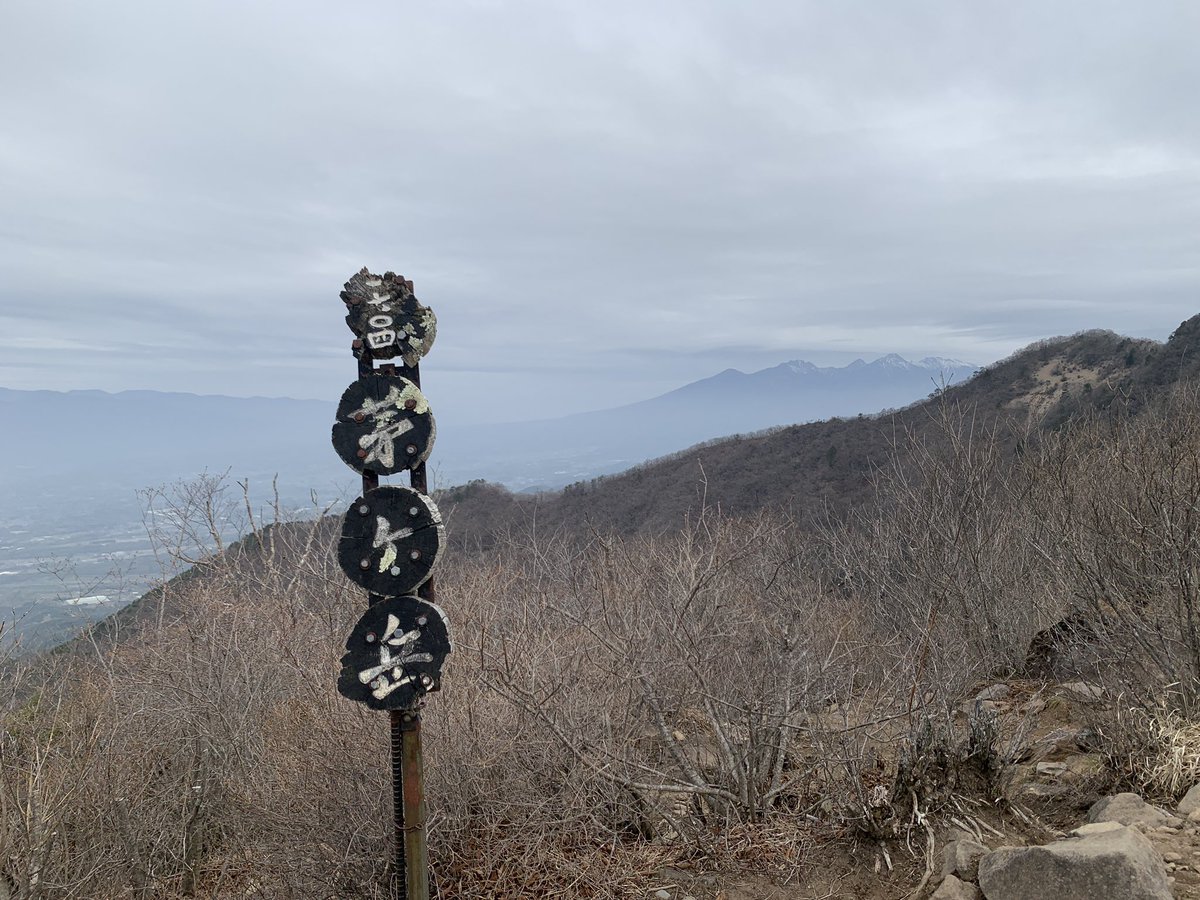 タクロス🍇ブロガーLv.6 tweet media