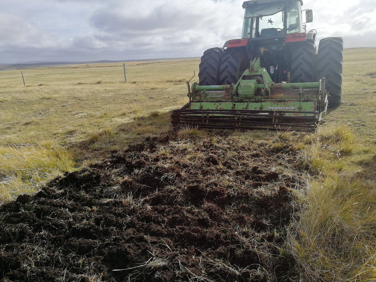 We have completed all of our planned @LantraUK accredited Vegetation Fire training courses on this trip to the Falkland Islands. We delivered a Prescribed Fire Managers course to some delegates in Fox Bay, West Falkland on behalf of the @ForestryComm See comments @essexforester