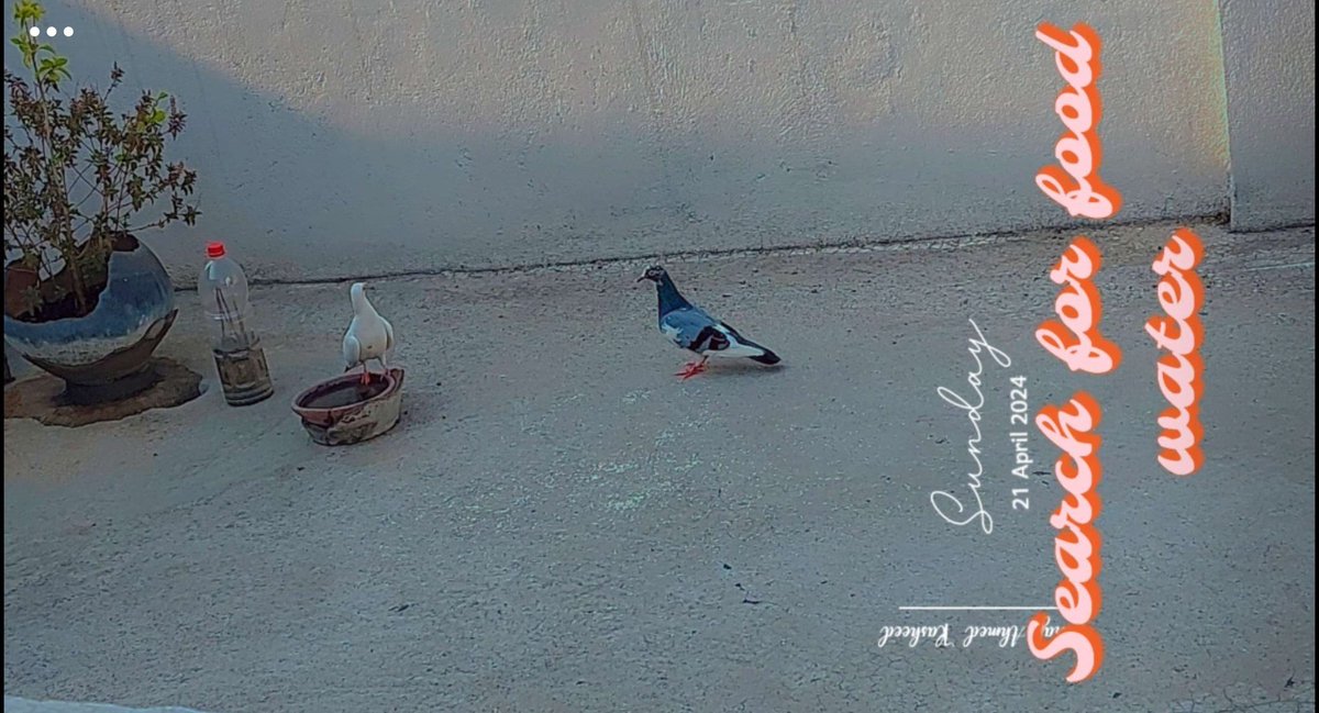 As the temperature is too high, Request everyone one to keep some water on top of the roof and if  possible some rice....