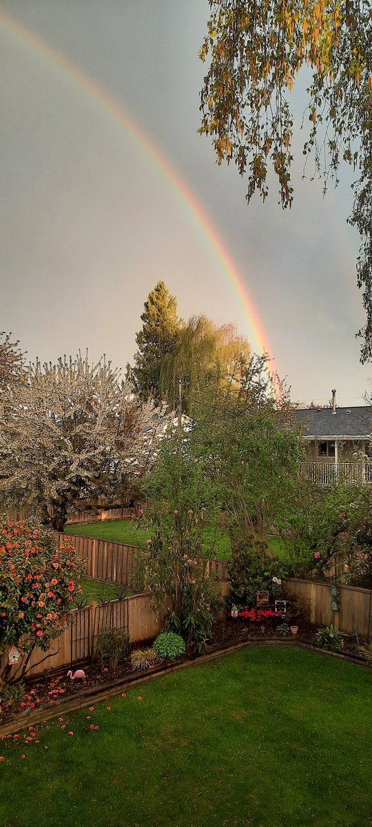 CherylDes's tweet photo. #BeautifulBC #WeatherLadner. Beautiful rainbow in Ladner, BC https://t.co/TD71ceKiNN