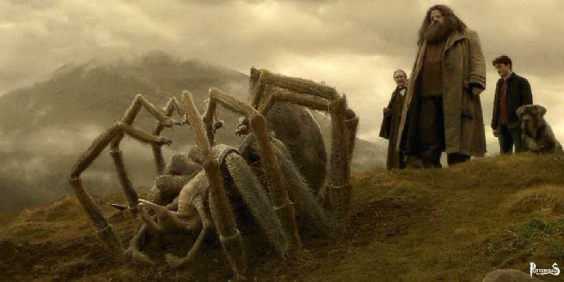 Harry Potter Universe tweet media