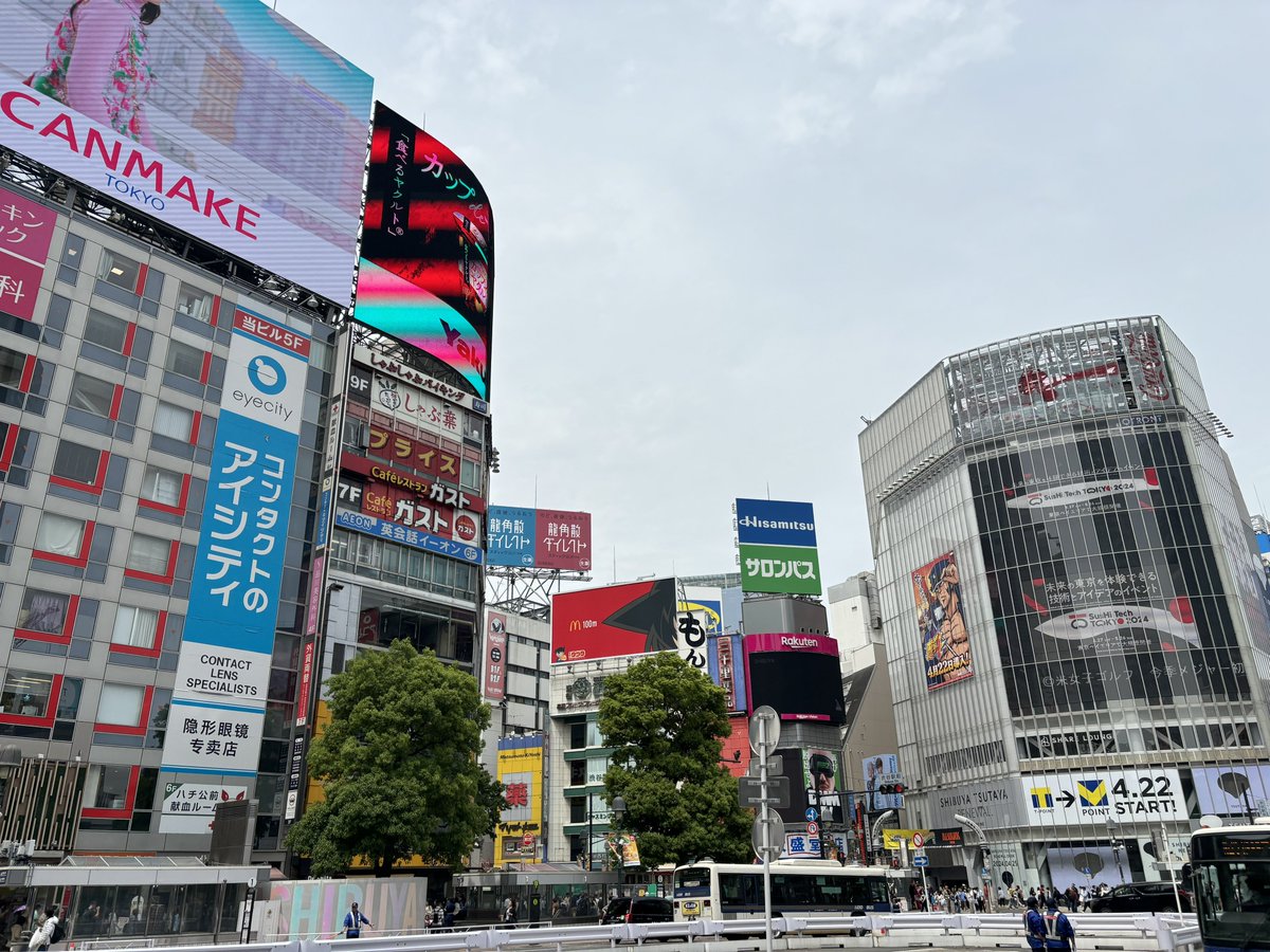 六椛繚乱、ちい乱舞
ガチ恋渋谷に到着

#マグメル
#キングサリ