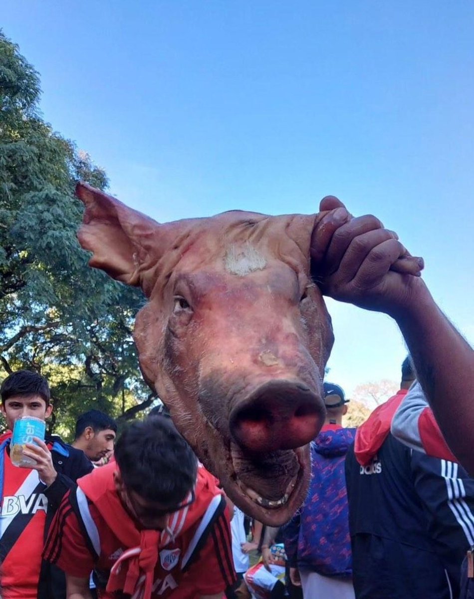ES HOY, PREPARA LA COLA BOSTERO 🔪🐷