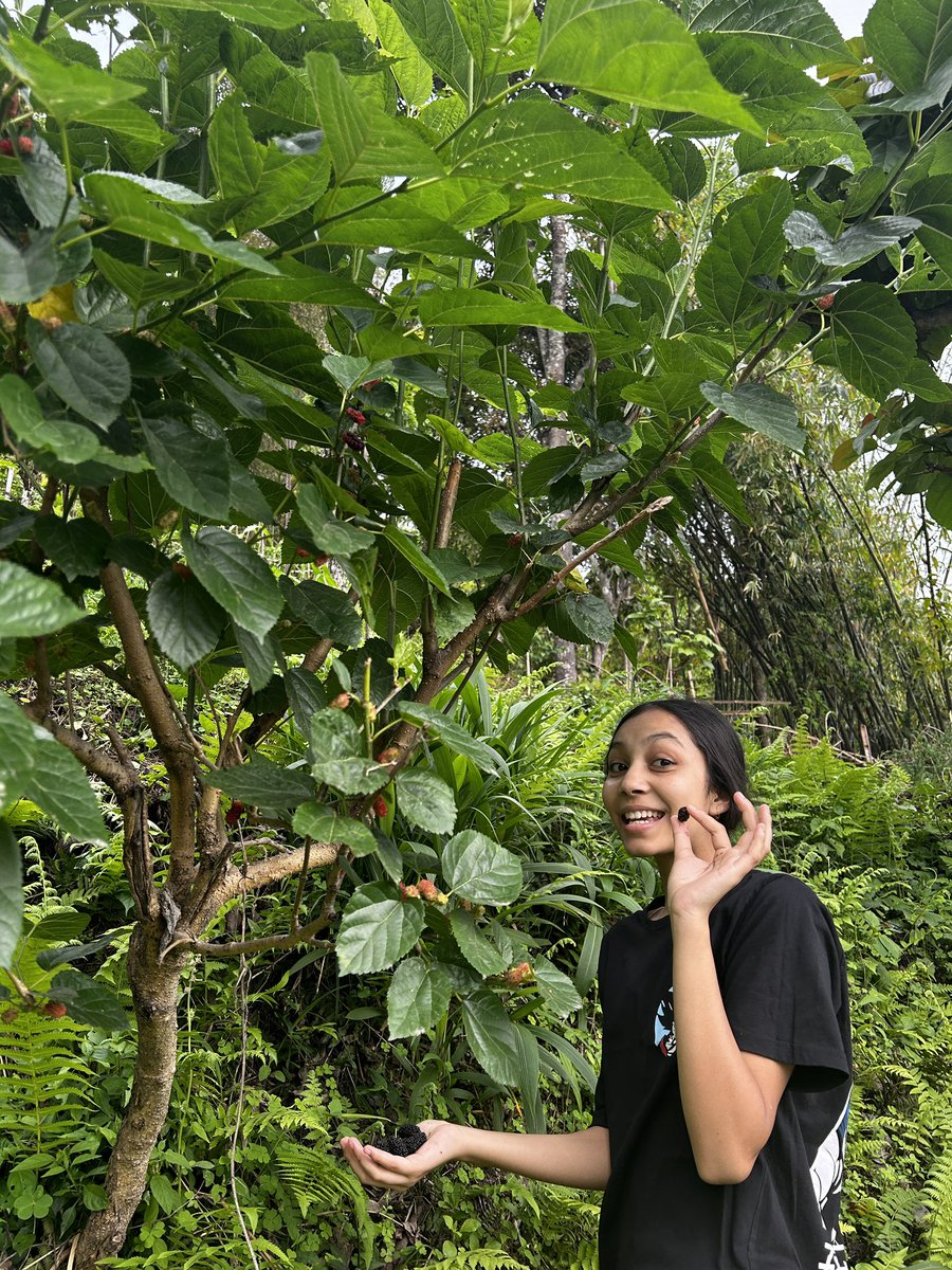 mj_chettri's tweet photo. समयको फल अनि मेरो ‘फेबरेट’ ❤️
#kimbu #blackberry . https://t.co/FAZTroEqQX
