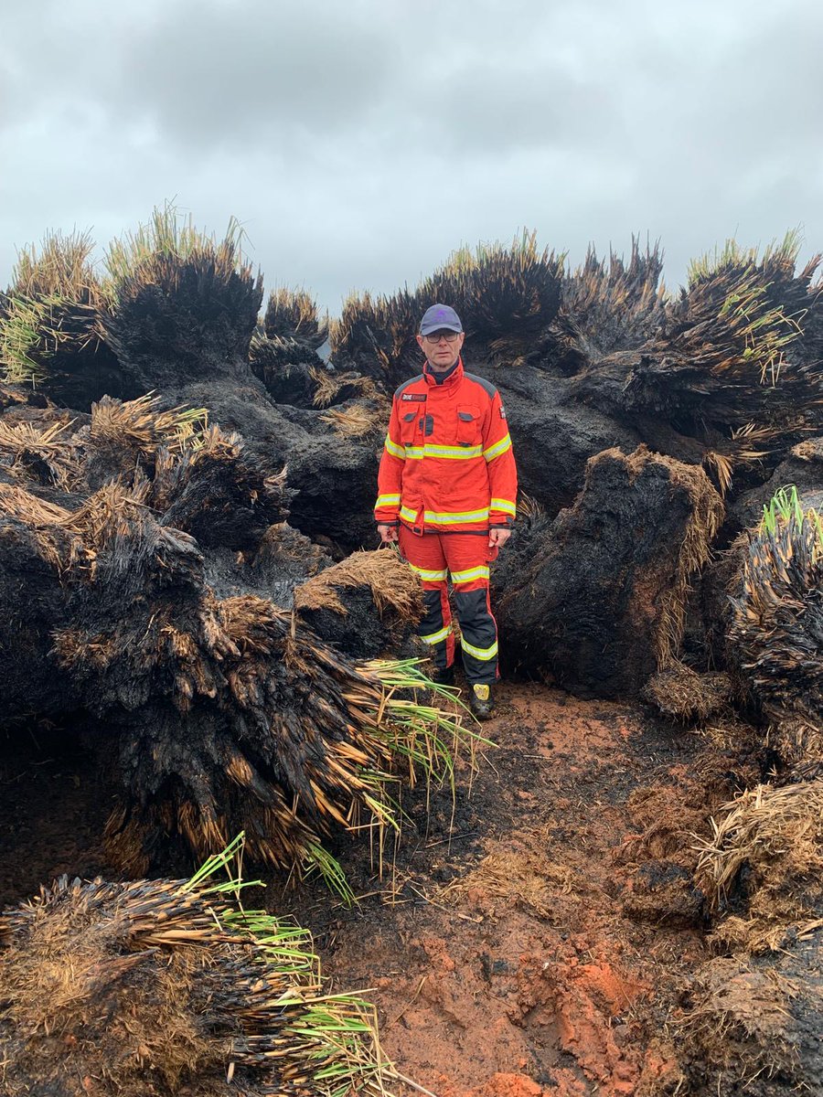 In this photo of me standing in the peat, you can see the original surface level at about my shoulders. We have gained a valuable insight into theses very difficult fires and made a small contribution to extinguishing them. True knowledge exchange at the sharp end of wildfire.
