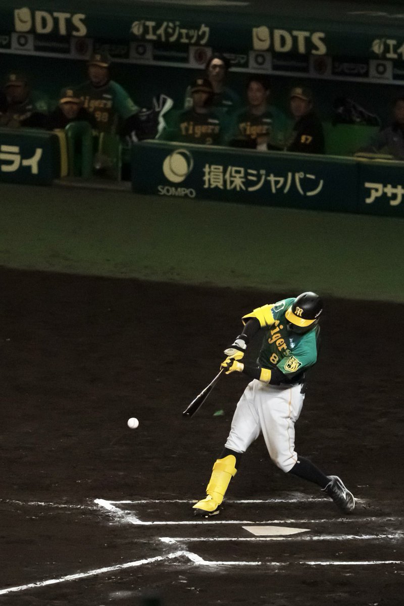 okuchan_y's tweet photo. 出遅れ感半端ない4/18のT-G戦
中野選手の不思議な写真(1回裏の二塁打)と10回裏サヨナラ打の佐藤輝明選手🏟️
グランド一周時に私のカメラ見てくれて超ハッピーな1日でした🙌
最後は今日やっと届いたプロコレ背番号8(毎年8️⃣だけ買ってる)
#佐藤輝明 
#中野拓夢 
#阪神タイガース https://t.co/6U3Q1jNAX8