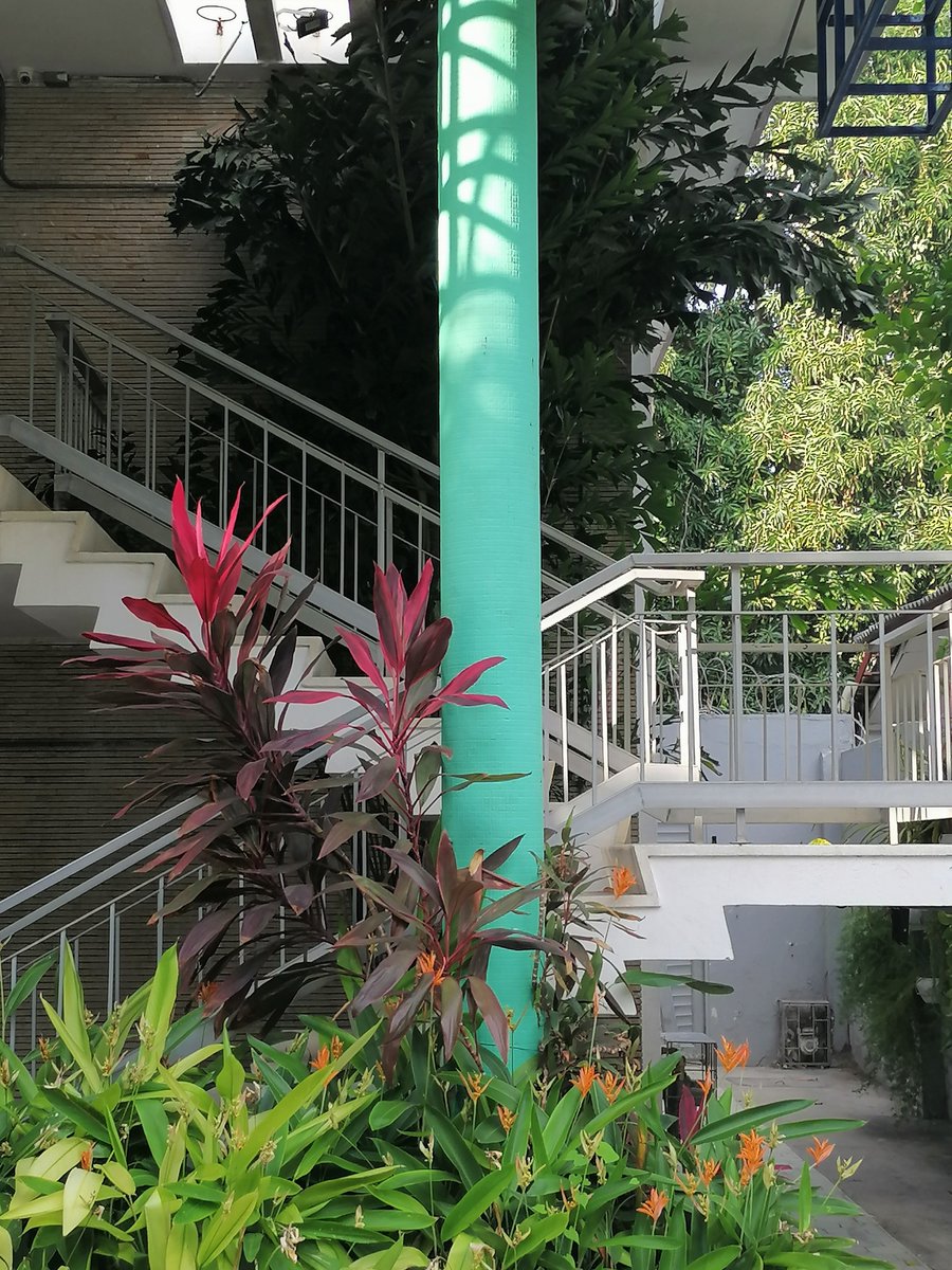 Es Barranquilla. Ahora, cuéntanos ¿En qué lugar es?