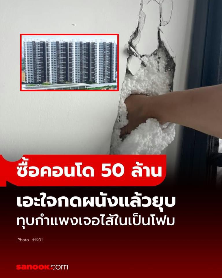 Petæ Lynch tweet media