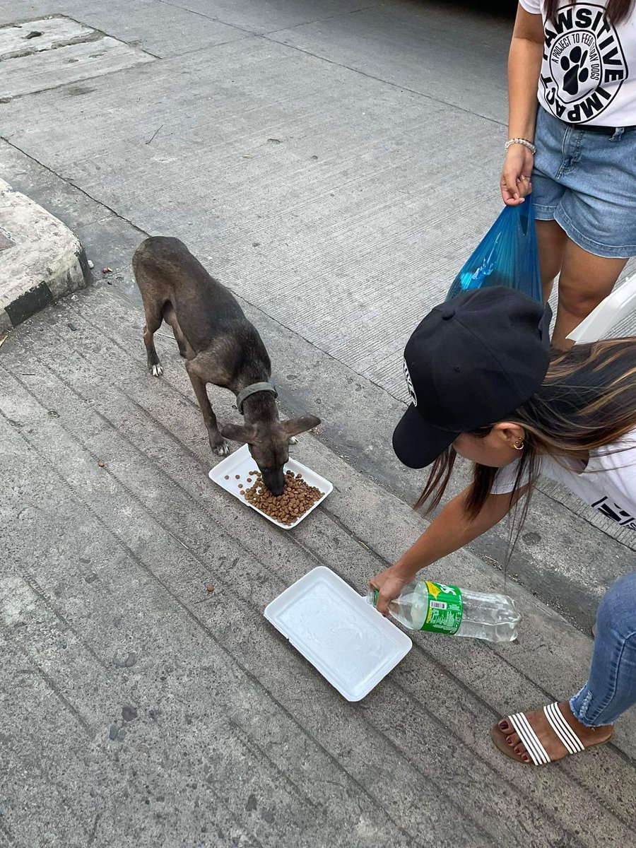 iced_CM's tweet photo. Introducing "PAWSITIVE IMPACT": A heartfelt initiative dedicated to feeding and caring for stray dogs in our city. With compassion as our guiding force, we strive to provide sustenance and love to these furry friends ensuring they never go hungry or overlooked.
#pawproject
#fyp https://t.co/9KevxVNZV6