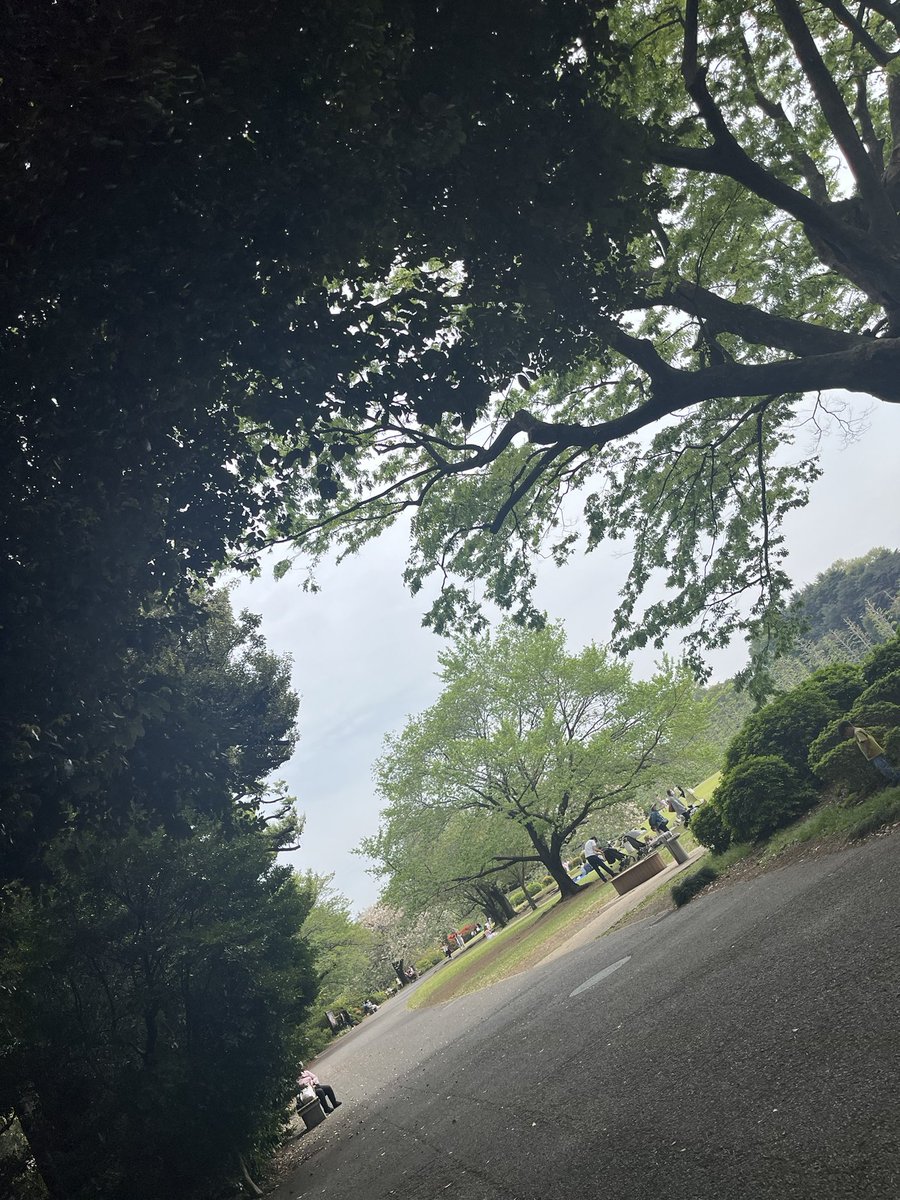 edammmam's tweet photo. 👌

#新宿御苑 https://t.co/PZLeU72lSB