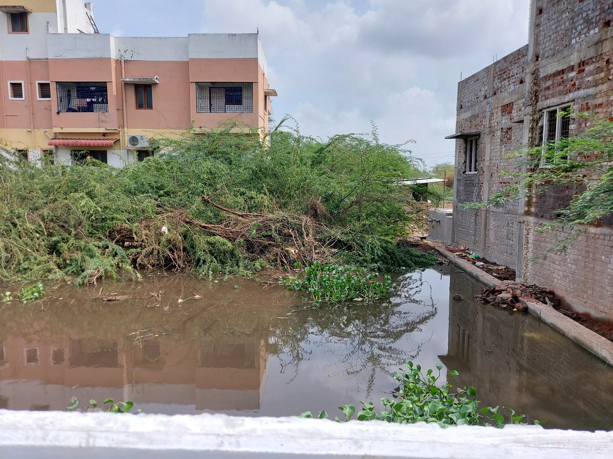 balusekars's tweet photo. @TrichyCorp complaint 202400350.I am a resident of Narungulal Nayagi Nagar,Kallanai road (Zone- 3 Ward-40).Water from the agricultural canal was purposefully blocked and the water is flowing into the nearby plots and is stagnated. Mosquitoes related health issues are spreading https://t.co/88wFdsNWhA