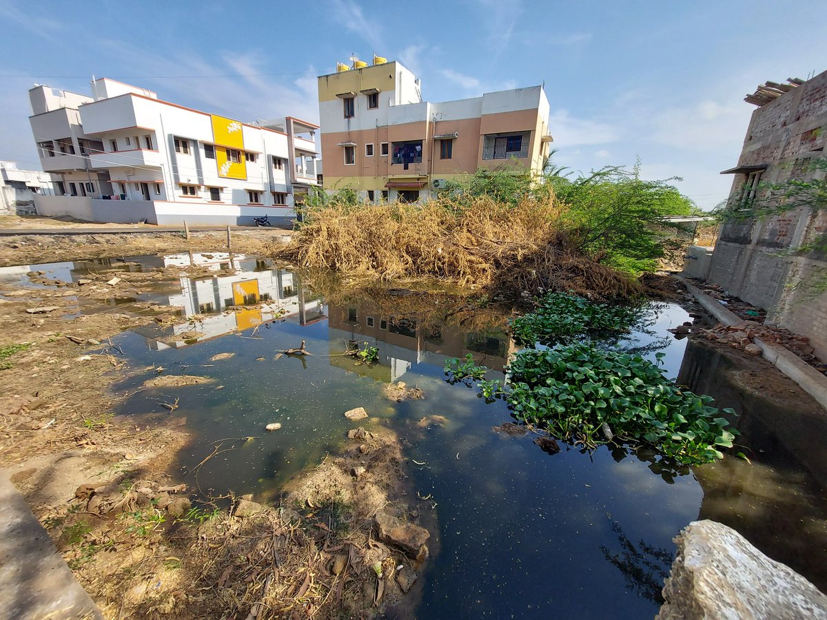 balusekars's tweet photo. @TrichyCorp complaint 202400350.I am a resident of Narungulal Nayagi Nagar,Kallanai road (Zone- 3 Ward-40).Water from the agricultural canal was purposefully blocked and the water is flowing into the nearby plots and is stagnated. Mosquitoes related health issues are spreading https://t.co/88wFdsNWhA
