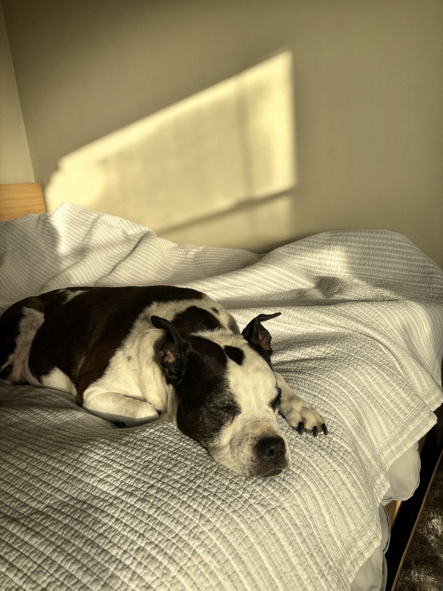 Irene 👹 tweet media